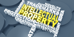 INTRO-INTELLECT-PROP.AS1 - Introduction to Intellectual Property image