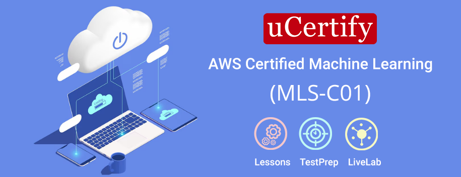 MLS-C01.AE1 : AWS Certified Machine Learning Specialty Training (MLS-C01)