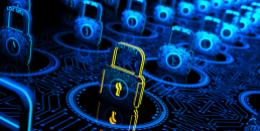 NETWORK-SEC.AW1 - Practical Network Security image