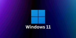 WINDOWS11.AP1 - Windows 11 Inside OUT image